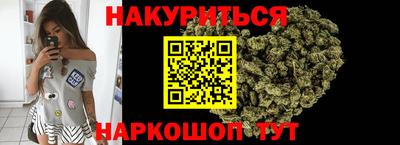 Альфа ПВП Ачхой-Мартан