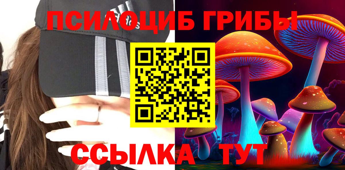 Псилоцибиновые грибы Cubensis Алейск