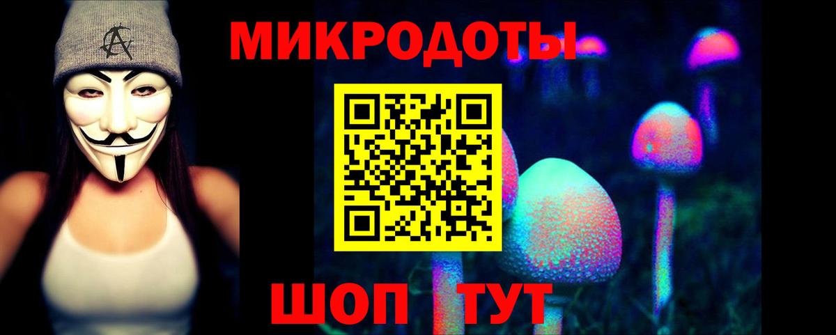 Псилоцибиновые грибы Psilocybe  Вход с VPN  купить наркотик  Алейск 